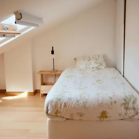 Baleal Gliding フェレル